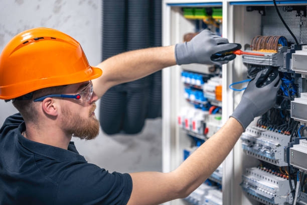 Best Electrical System Inspection  in Caro, MI