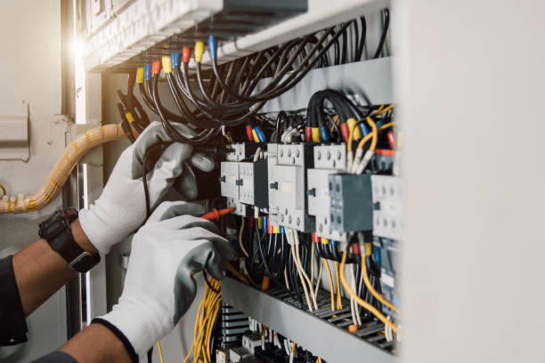 Best 24-Hour Electrician  in Caro, MI